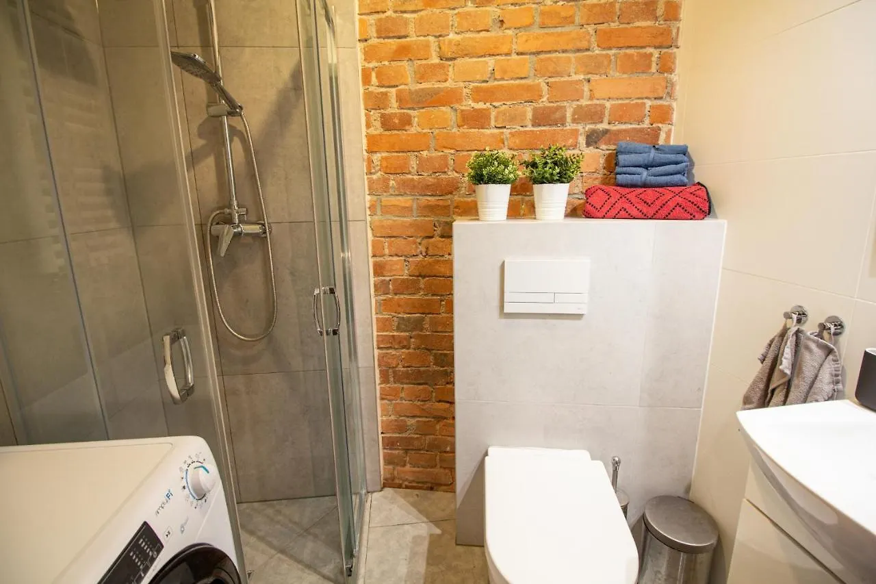 Apartment Studio Loft Apartament 5 Min Od Starego Rynku, Poznan Netflix